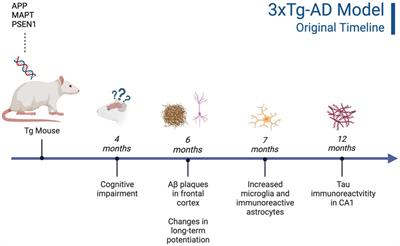 Anxiety and Alzheimer’s disease pathogenesis: focus on 5-HT and CRF systems in 3xTg-AD and TgF344-AD animal models